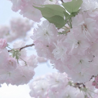 兽设冰雪元素设计兽圈社群